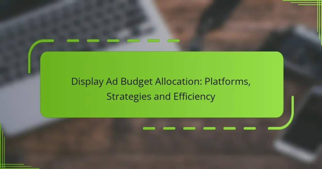 Display Ad Budget Allocation: Platforms, Strategies and Efficiency