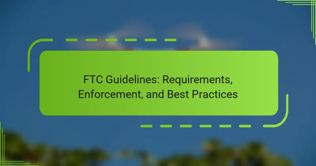 FTC Guidelines: Requirements, Enforcement, and Best Practices