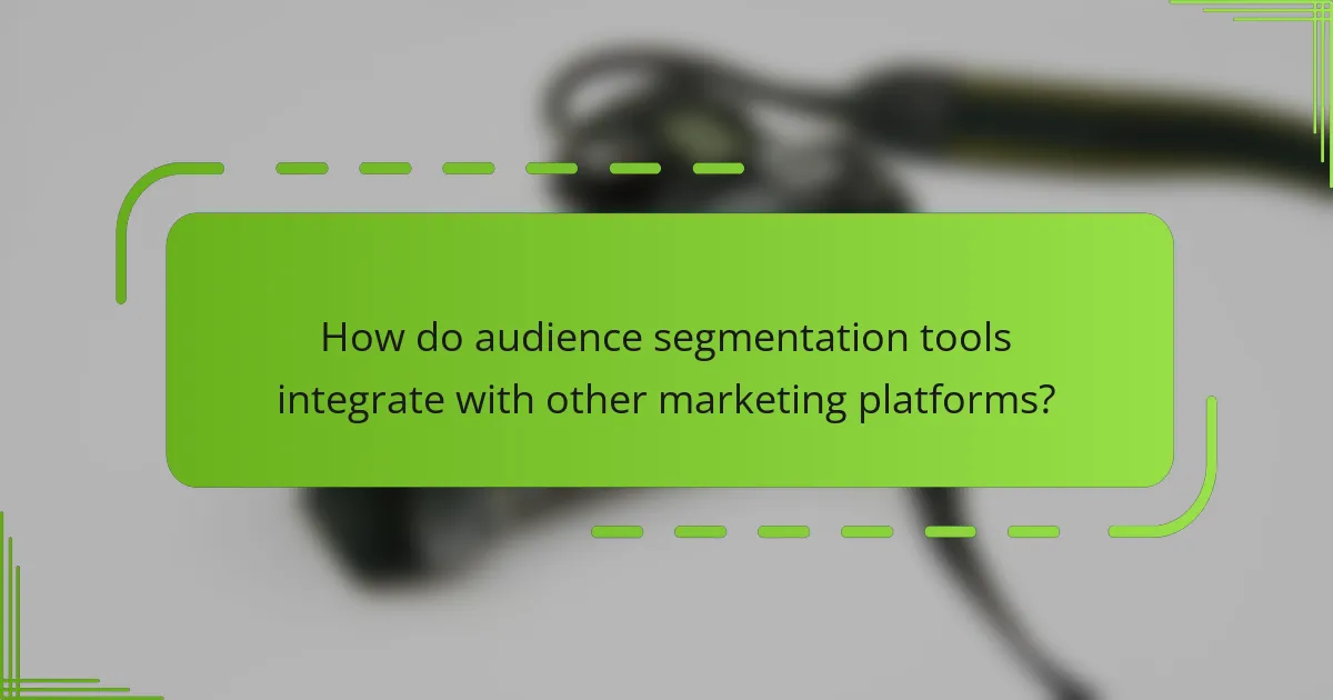 How do audience segmentation tools integrate with other marketing platforms?