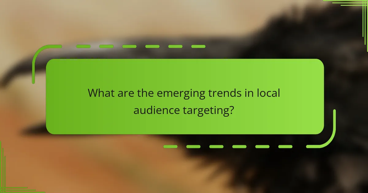 What are the emerging trends in local audience targeting?