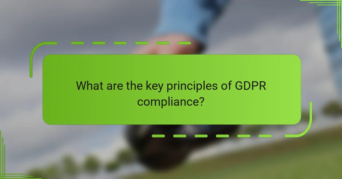 What are the key principles of GDPR compliance?