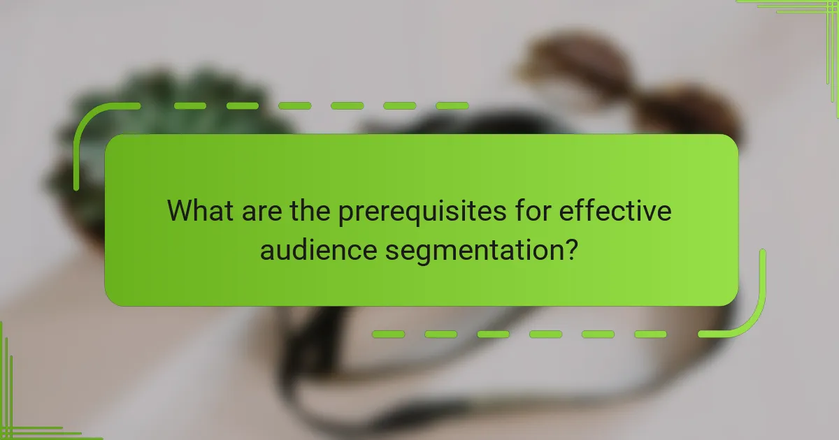 What are the prerequisites for effective audience segmentation?