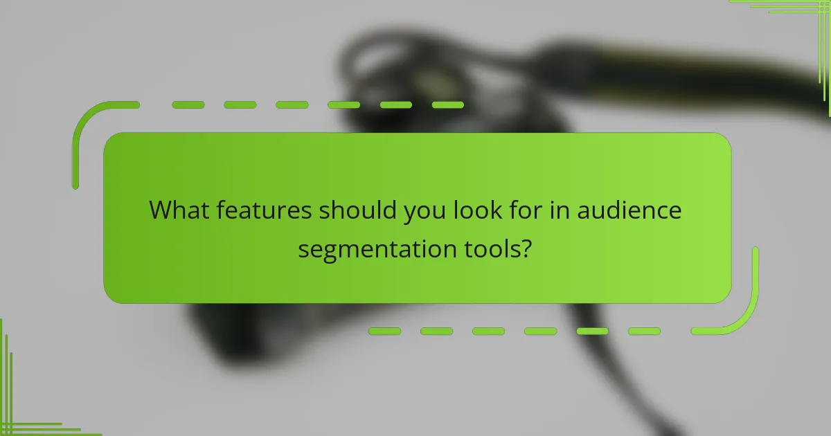 What features should you look for in audience segmentation tools?