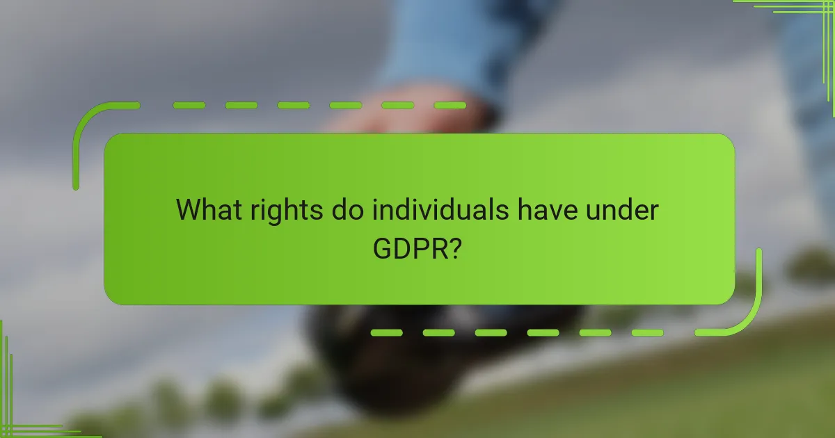 What rights do individuals have under GDPR?